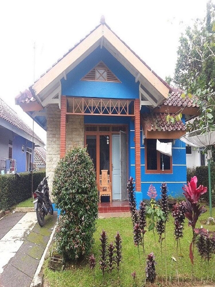 villa kota bunga peony