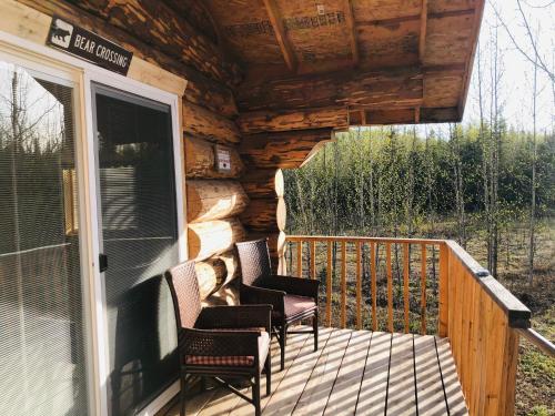 chitina