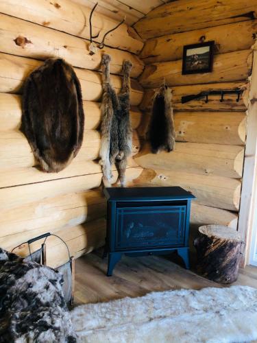 chitina