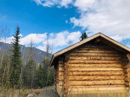 chitina