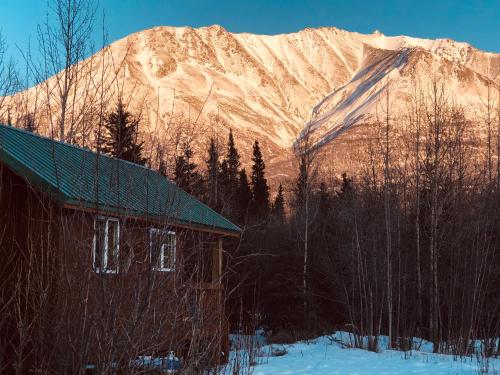 chitina
