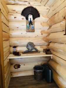 chitina