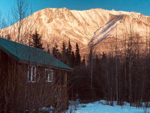 chitina