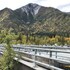 chitina