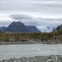 chitina