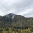 chitina