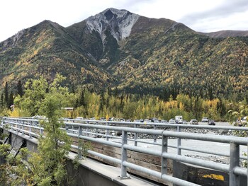 chitina