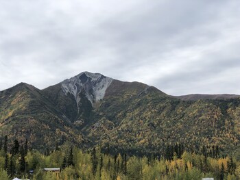chitina