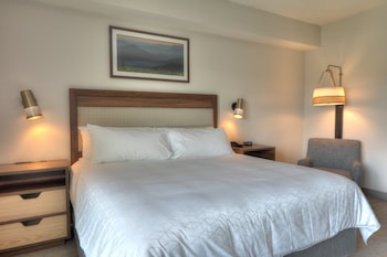holiday inn and suites pigeon forge convention center by ihg