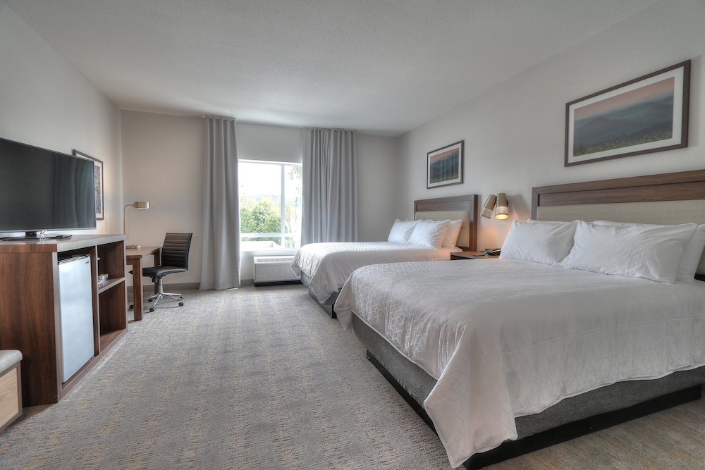 holiday inn and suites pigeon forge convention center by ihg
