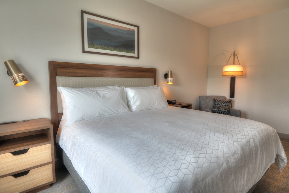 holiday inn and suites pigeon forge convention center by ihg