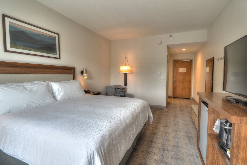 holiday inn and suites pigeon forge convention center by ihg