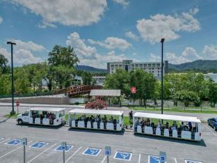 pigeon forge