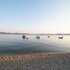 bibinje