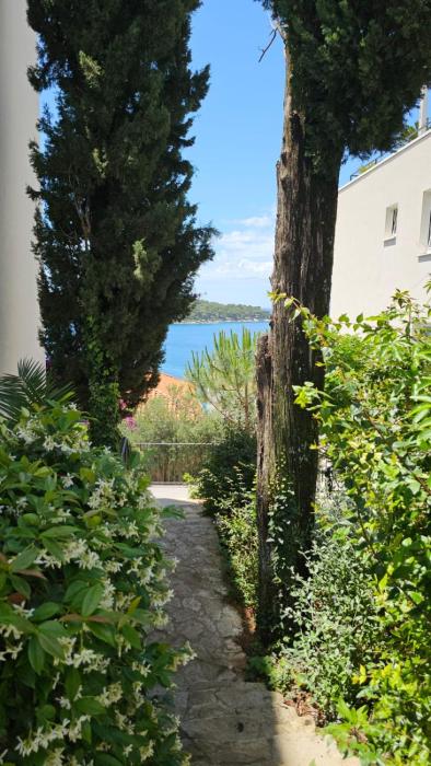 cavtat