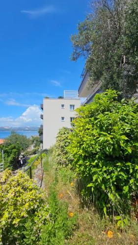 cavtat