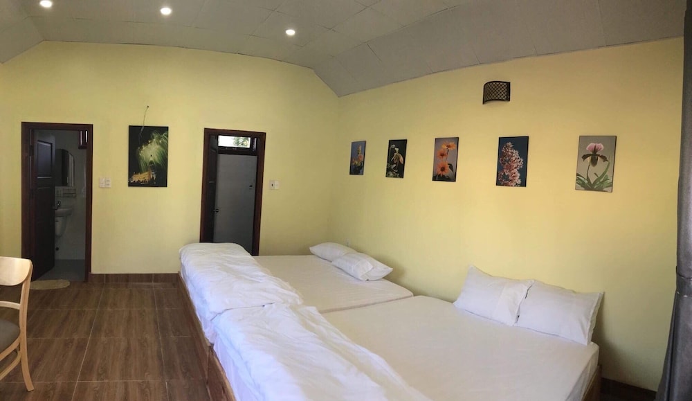 tomorrow homestay da lat