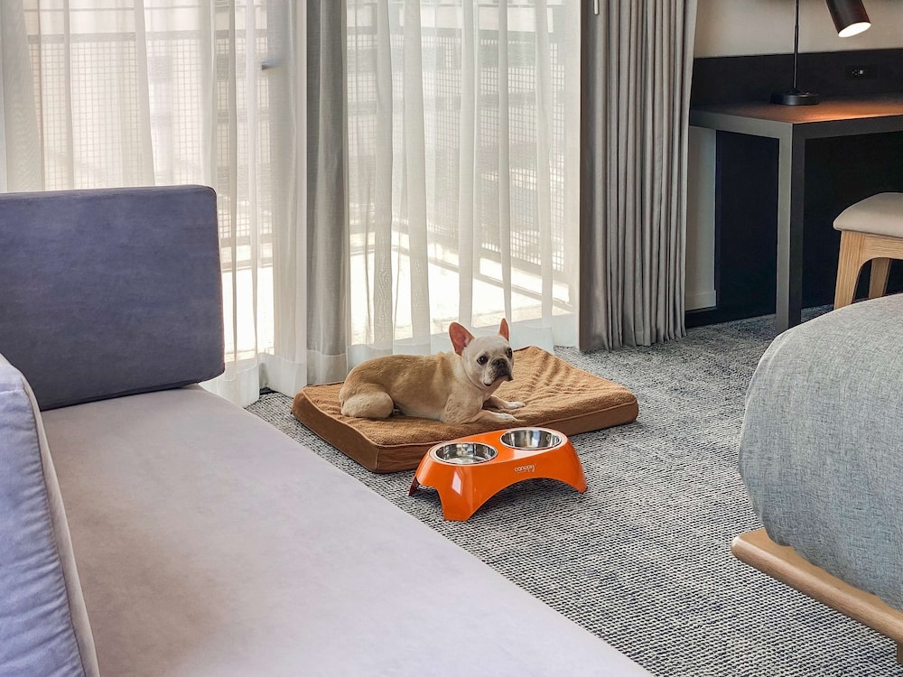 canopy by hilton austin downtown