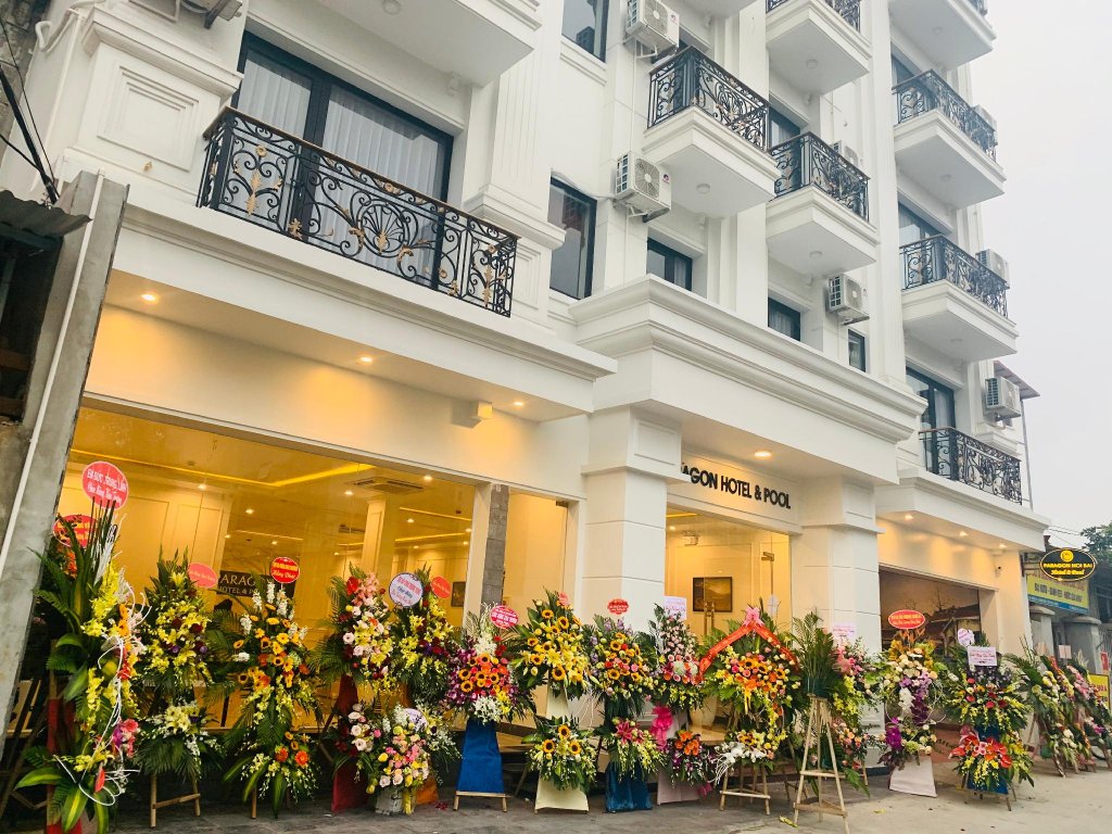 paragon noi bai hotel and pool