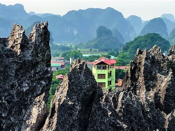 hoa lu