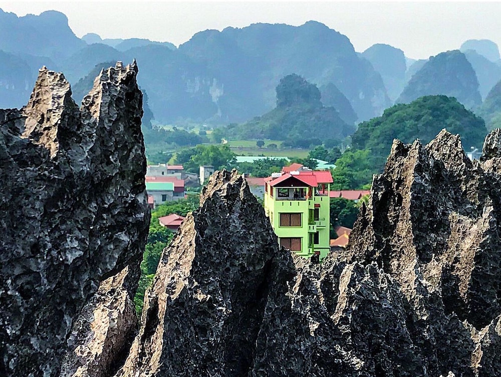 hoa lu