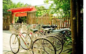 trang an mountain view homestay hostel