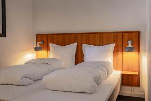 house of finn juhl hotel hakuba