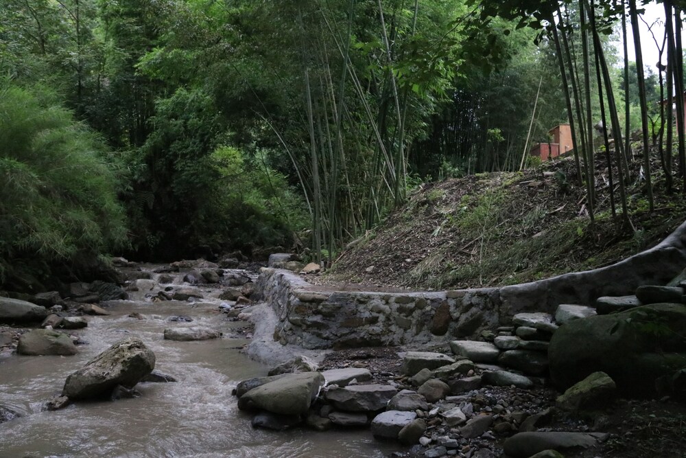 leshan
