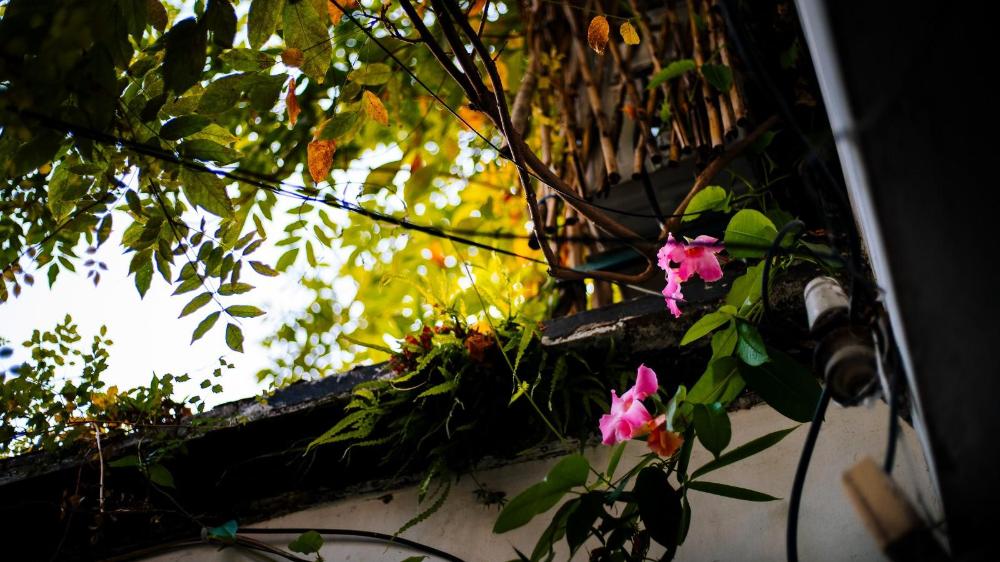 floral hotel suzhou sushun