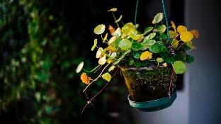 floral hotel suzhou sushun