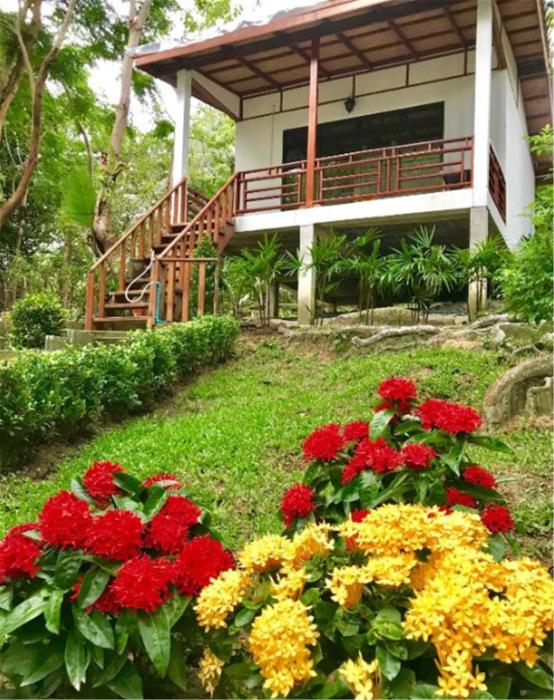 chareena garden