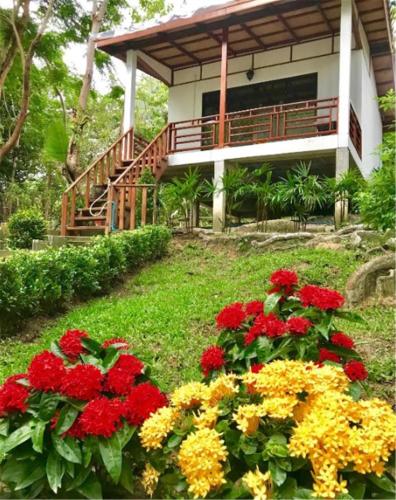 chareena garden
