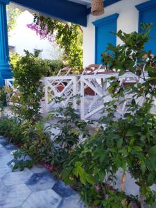 bodrum