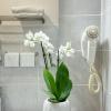 rhome guest house