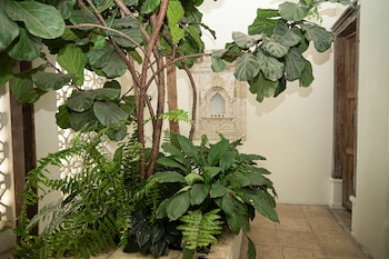 alko hotel casa nispero