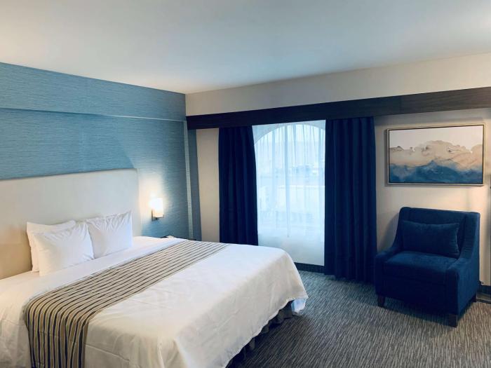 chandni victoria bw signature collection