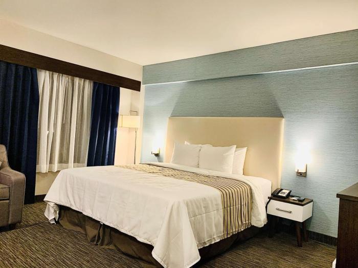 chandni victoria bw signature collection