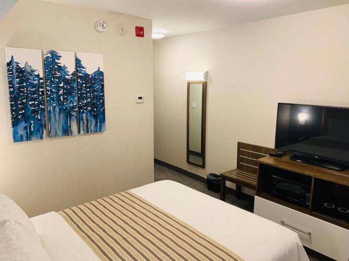 chandni victoria bw signature collection