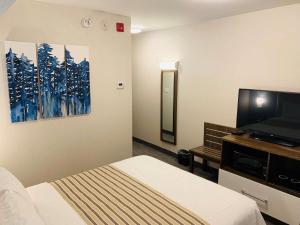 chandni victoria bw signature collection