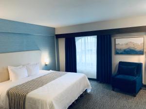 chandni victoria bw signature collection