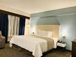 chandni victoria bw signature collection