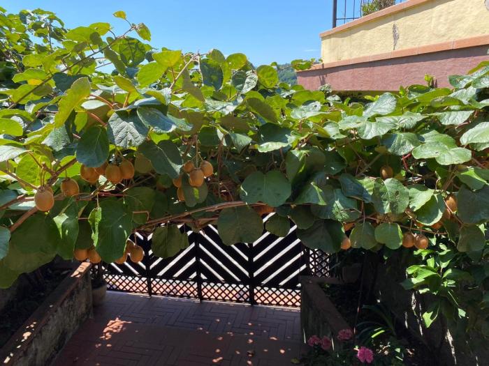 collimare rooms and sailing near 5 terre