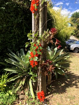 pousada boutique itaipava