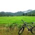 tan phu