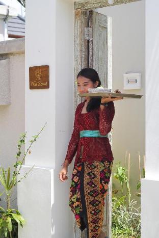 la numa villas canggu