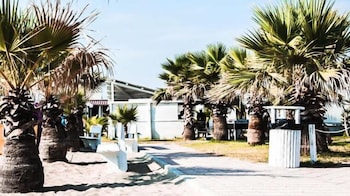 margherita di savoia