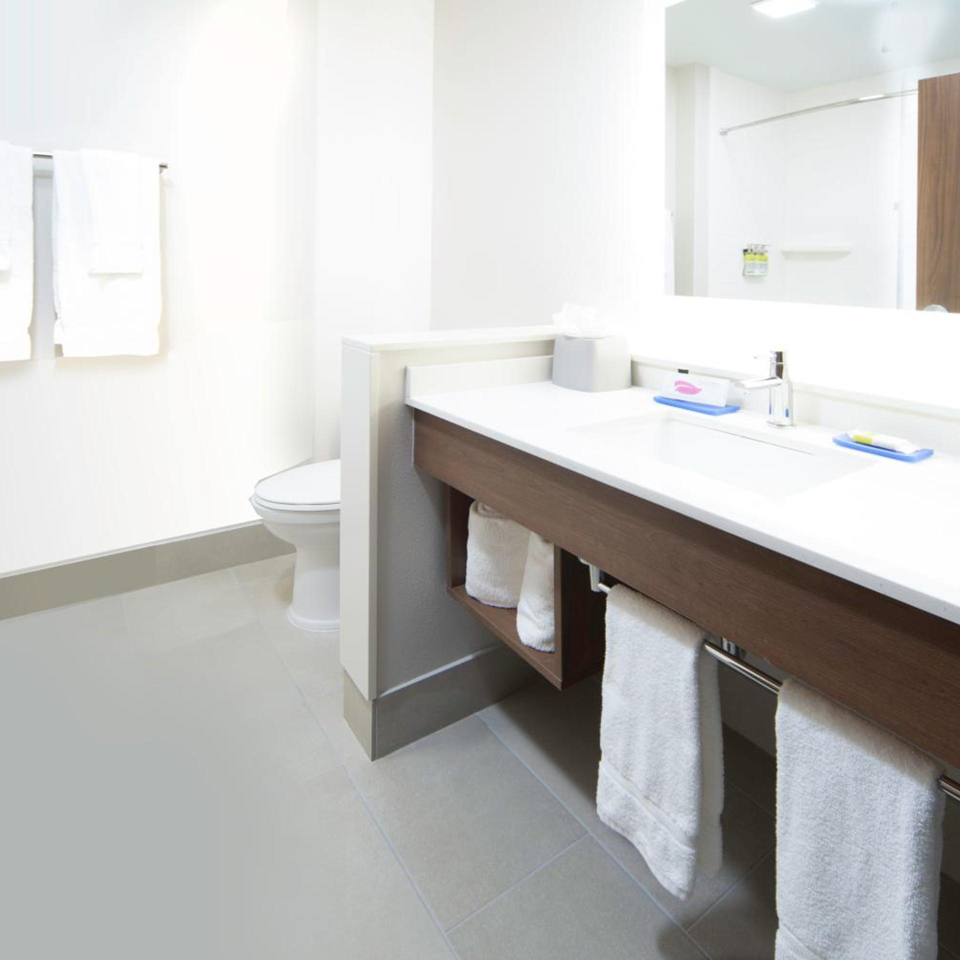holiday inn express and suites fort myers airport