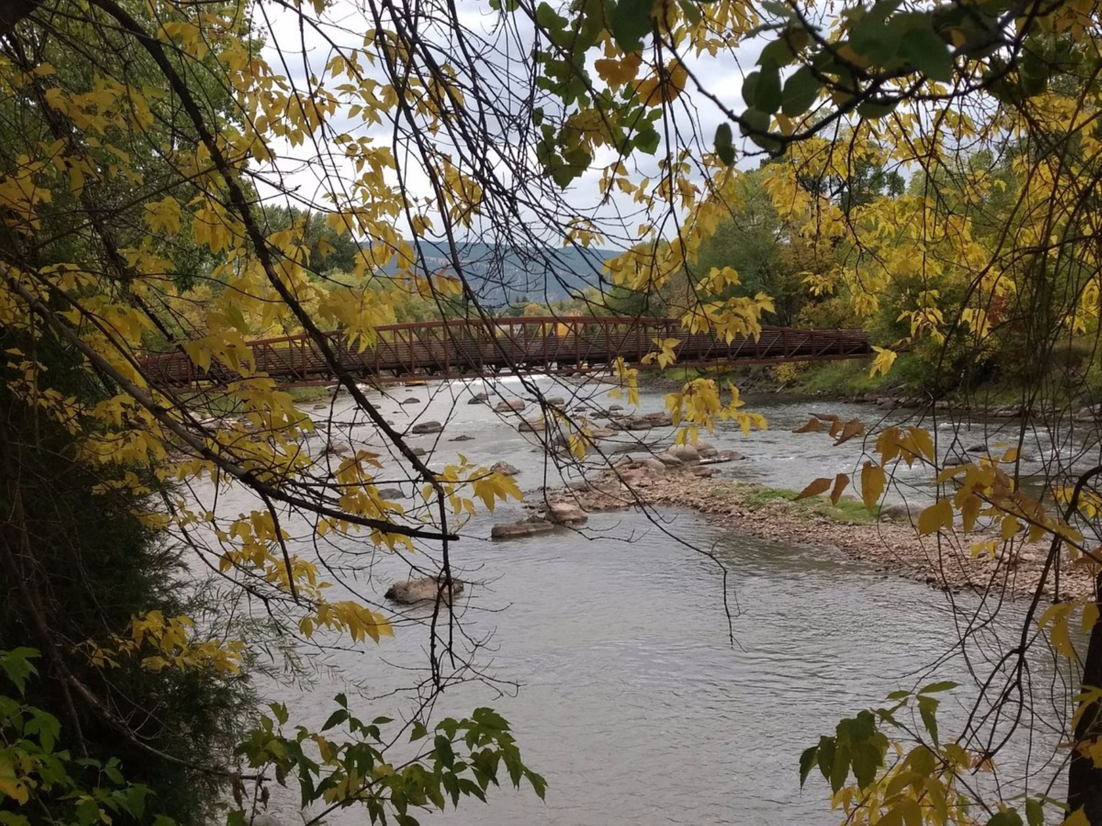 holiday inn express durango downtown animas river an ihg hotel