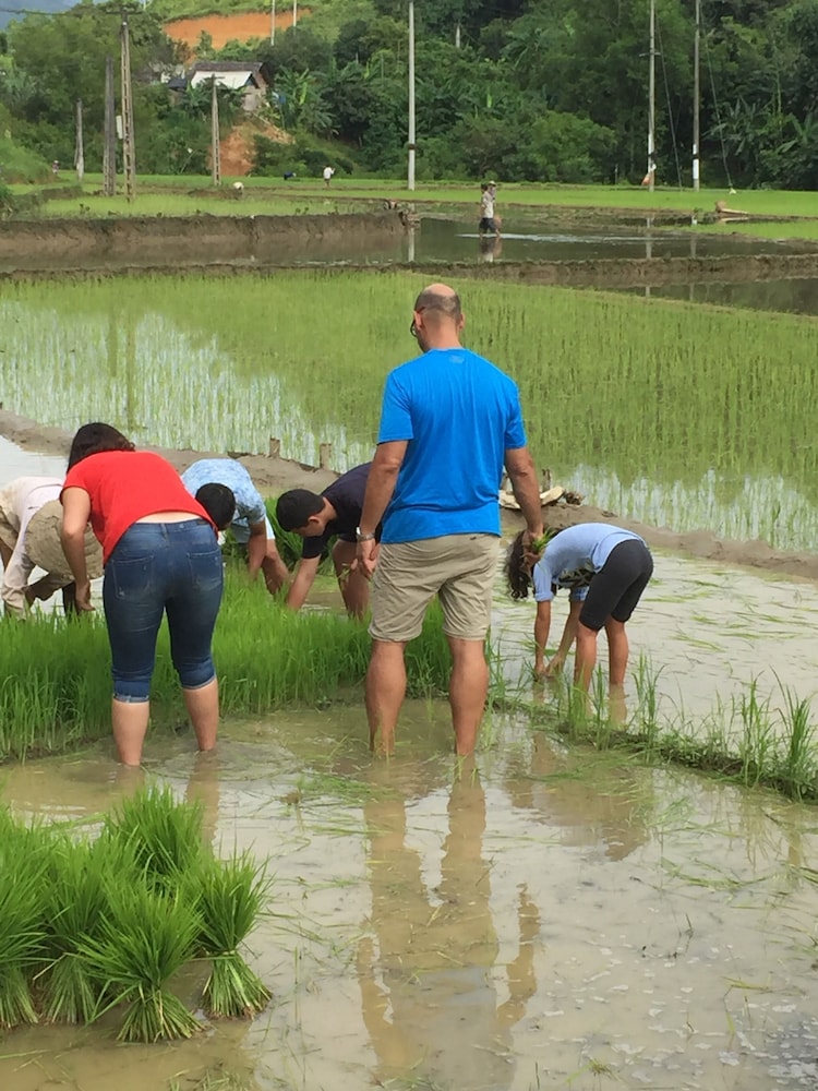 sapa eco garden homestay hostel