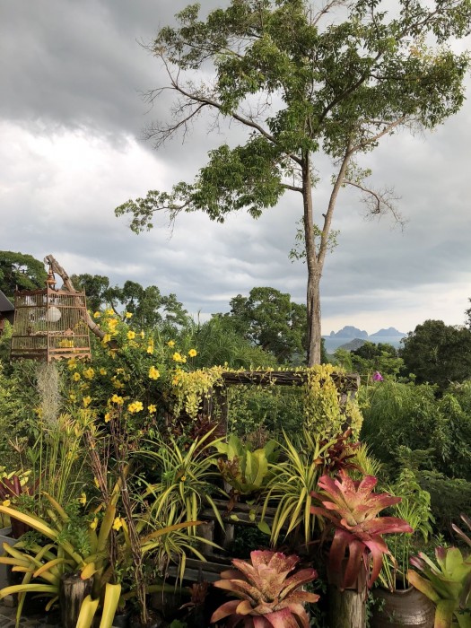 krabi
